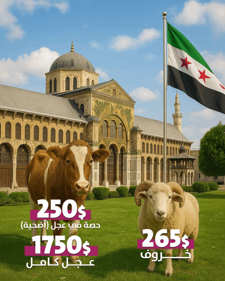 أضحية العيد – تبرع بأضحيتك وشارك الأجر والفرح